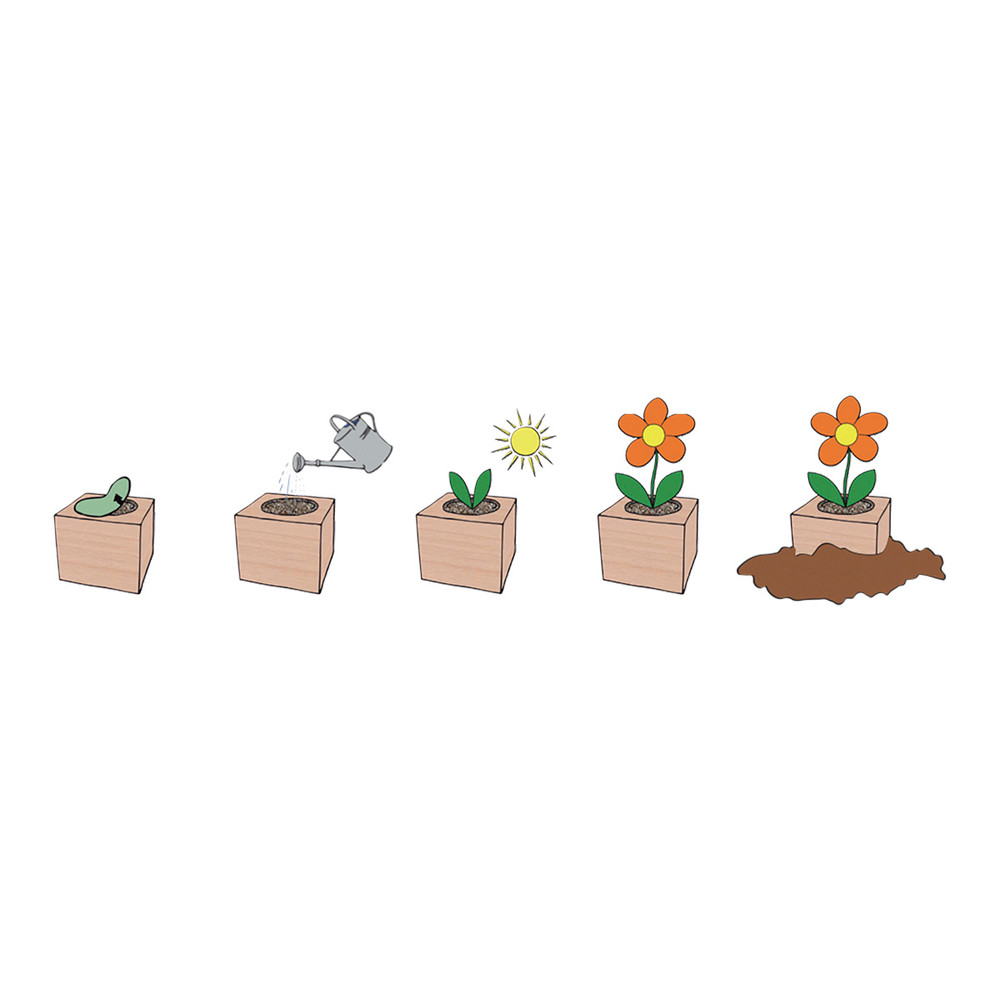 Mod de folosire Plant CUBE