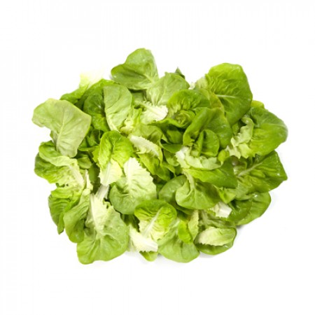 Salata salanova verde