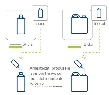 Inocul de micorize
