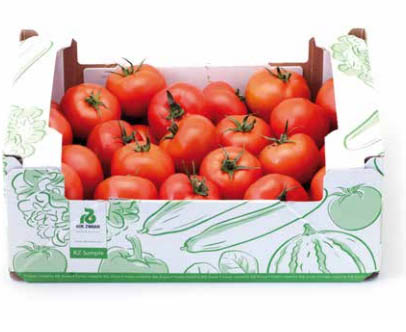 tomate olandeze Rijk Zwaan
