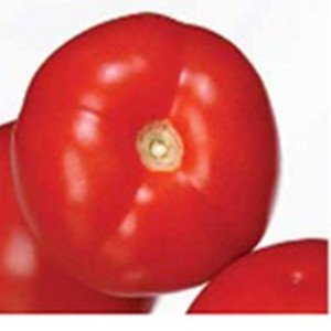 Seminte de tomate Amapola